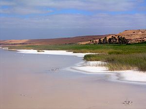 Paisagem do pântano, perto da cidade de Tan-Tan.