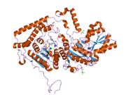 2bfb: REACTIVITY MODULATION OF HUMAN BRANCHED-CHAIN ALPHA-KETOACID DEHYDROGENASE BY AN INTERNAL MOLECULAR SWITCH