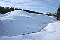 Šeimyniškėlių piliakalnis žiemą (iš šiaurės)