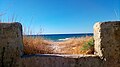 Veduta delle dune di Alcamo Marina, con la caratteristica vegetazione