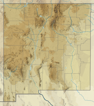 Animas River is located in New Mexico