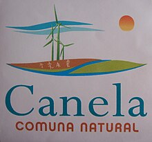 Canela comuna natural.JPG