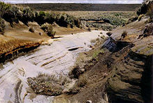 Tipa pejzaĝo de la Rangipo-dezerto, vidita de la Desert Road (dezertovojo)