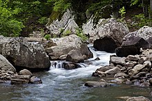 Richland Creek in the Richland Creek Wilderness, AR.jpg