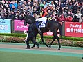 12. ローズキングダム