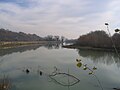 Il Tevere da Campo Rampone