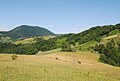 West side of the mountain Medvednik - Place Kozila