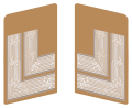 1933-34年までの細胞役員襟章