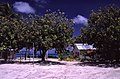 Skola fuq Funafuti Atoll, Tuvalu