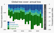 Il tasso di perdita di copertura arborea globale è circa raddoppiato dal 2001, fino a una perdita annuale che si avvicina a un'area delle dimensioni dell'Italia.