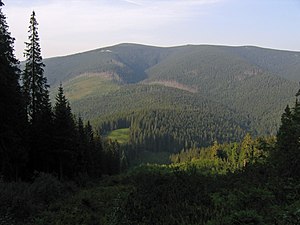 Вид на Ґорґан-Ілемський зі схилів Яйка-Ілемського