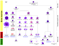 More complete lineages (very large)