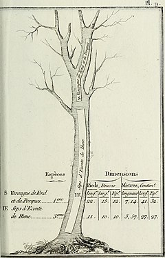 Varangue de fonds et de porques ; sep d'éconte de hune.