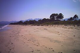 La plage bordant le domaine de Pinia, au nord de Vignale.