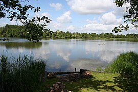 Marbury Big Mere