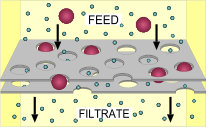 Diagramme de filtration simple : les particules les plus grosses du «flux» ne peuvent pas traverser le réseau.