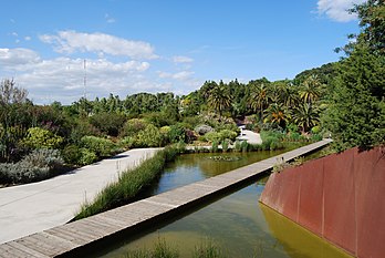 Pièce d'eau dans le jardin botanique de Barcelone. (définition réelle 3 000 × 2 008)