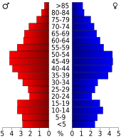 Bevolkingspiramide Nelson County