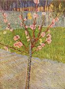 Pêcher en fleur, 1888 Musée Van Gogh