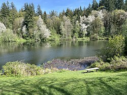 View across a small lake