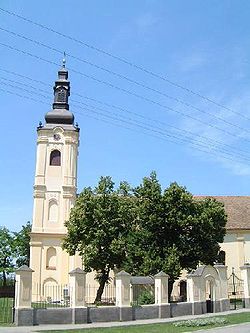 Serbian Orthodox church