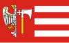 Vlag van Wągrowiec