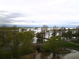 Slubices apriņķa ainava (Vartas upes delta Gužicas gminā)