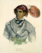 Tah-Chee, un capo Cherokee