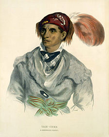 Tah-Chee (Anatra), un capo Cherokee