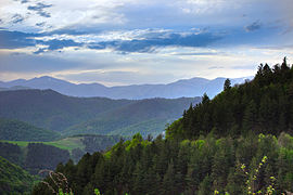 Parc national de Dilijan.