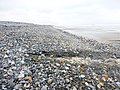 Le cordon de galets : l'eau douce provenant d'un étang littoral suinte à travers les galets pour rejoindre la mer.