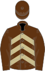 Brown, beige chevrons, brown sleeves and cap