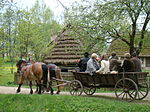 Skansen w Sanoku (2009)