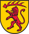 Wappen von Veringenstadt