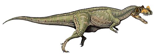 Ceratosaurus