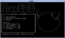 Screenshot of FreeBSD 9.1