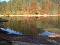 Kleiner Ödsee vor den Windbrüchen