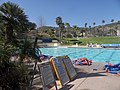 La piscine du campus de Malibu.