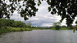 Lake of Setu Cibinong