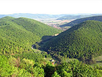 Lesy slovensko-maďarského pohraničí Szögliget