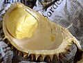 Durian long laplae, Uttaradit province
