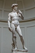 ミケランジェロの『ダビデ像』のモデルとなった男性の姿。（「ダビデ」とは聖書にも登場するイスラエルの王だが、(ミケランジェロは、無論、本物のダビデ王を見て彫刻を作ったわけではないが) モデルとなった男性の名前は知られていない。なおこの彫刻は（この像のサイズは現実の人間よりも大きくて、上下の比率も現実ばなれしていて）モデルとなった人の身体をありのままの比率で再現しているわけではない、[注 3]と言われている。