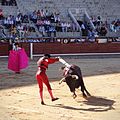 Tercio de banderillas: il banderillero infilza le banderillas sulla groppa del toro.