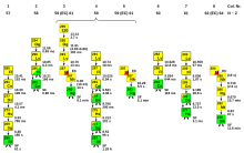 A diagram of observed decay chains of even Z superheavy nuclides, consisting of several alpha decays and terminating in spontaneous fission.