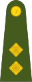 Lieutenant Irish: Leifteanant (Irish Army)[39]