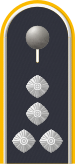 Dienstgradabzeichen auf der Schulterklappe der Jacke des Dienstanzuges für Luftwaffenuniformträger.