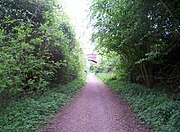 NCN 63 near Measham