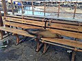 Image 19Adult Galápagos sea lion resting on a park bench in Puerto Baquerizo Moreno (from Galápagos Islands)