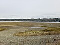 Beach with tide flats and land in distance