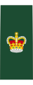 Insignia of a warrant officer